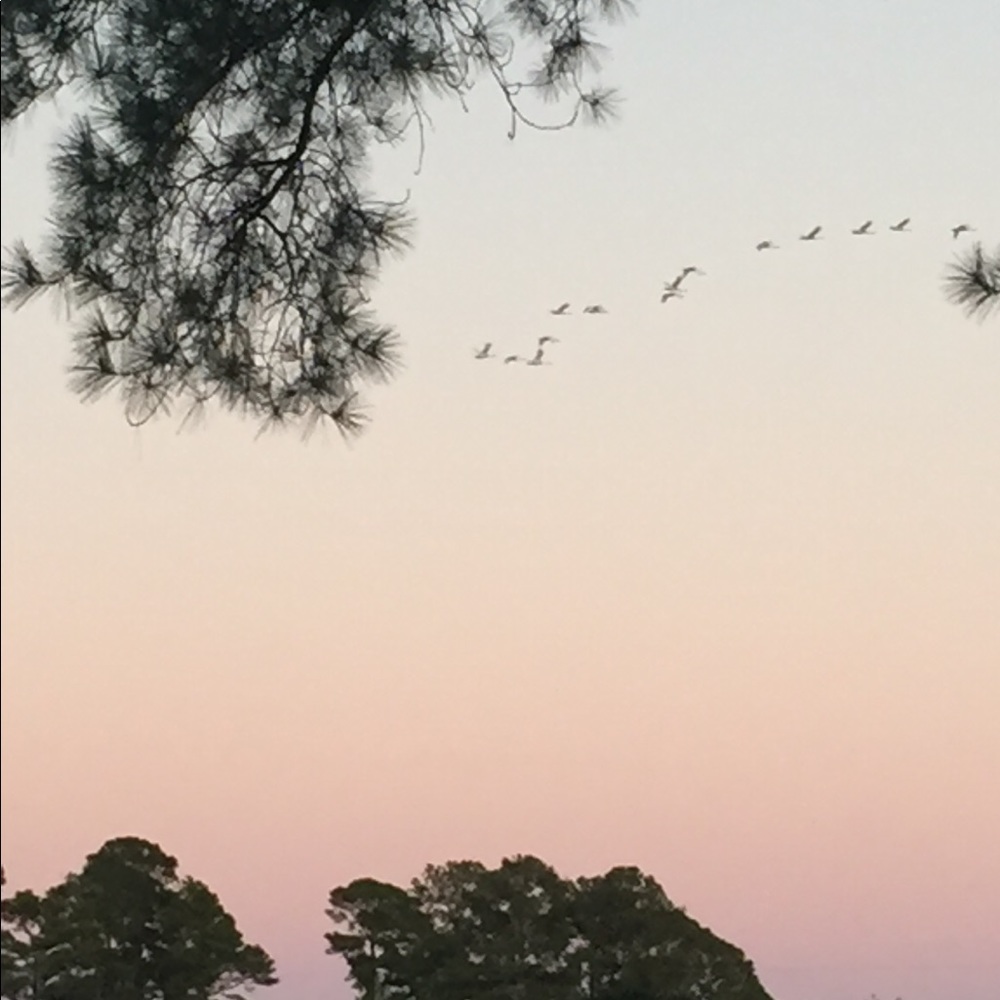 Meet your Posher, Faith